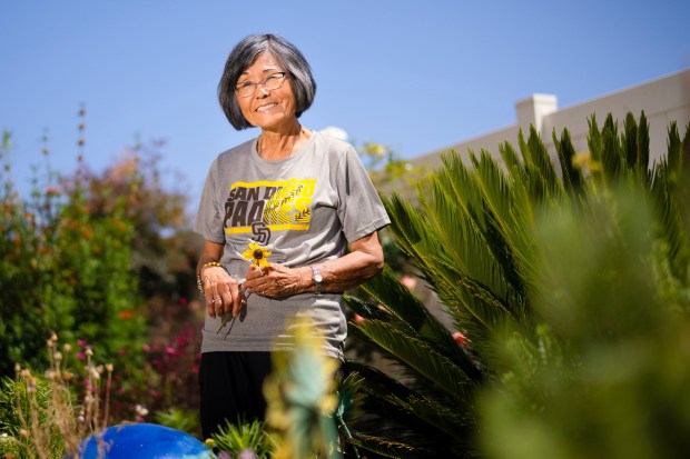 Linda McLemore, 81, grew up the daughter of a local farmer in the South Bay. She was born at the Poston Internment Camp while her parents were interned. 6 months after she was born, her parents and siblings relocated to San Diego, where Dad resumed farming.  Her passion for volunteering in the community is equal to her dedication to tending to her home garden in Chula Vista. (Nelvin C. Cepeda / The San Diego Union-Tribune)