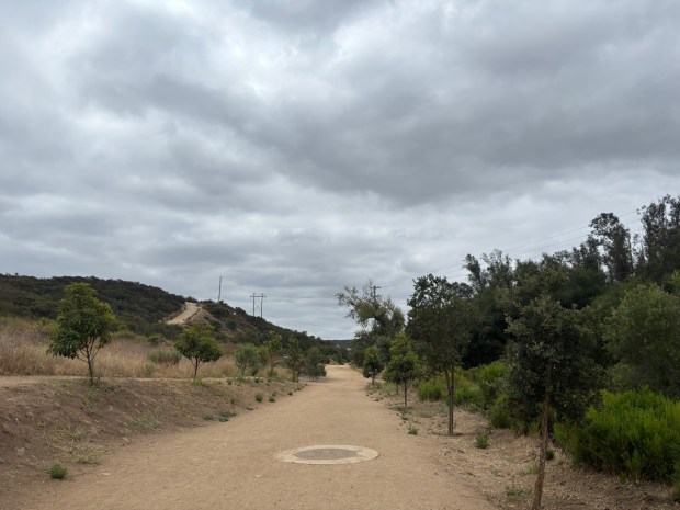 The trail begins on a wide, dirt path before I chose to head up a steep hill for a better view of the space. (Maura Fox / The San Diego Union-Tribune)