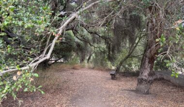 This week, take a moment to appreciate America’s public lands – San Diego Union-Tribune