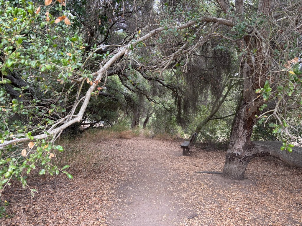 This week, take a moment to appreciate America’s public lands – San Diego Union-Tribune