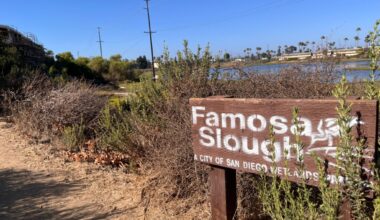 Hike of the week: Quiet trails at Famosa Slough are a no brainer for an easy summertime stroll – San Diego Union-Tribune