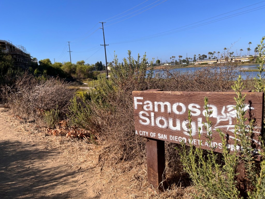 Hike of the week: Quiet trails at Famosa Slough are a no brainer for an easy summertime stroll – San Diego Union-Tribune