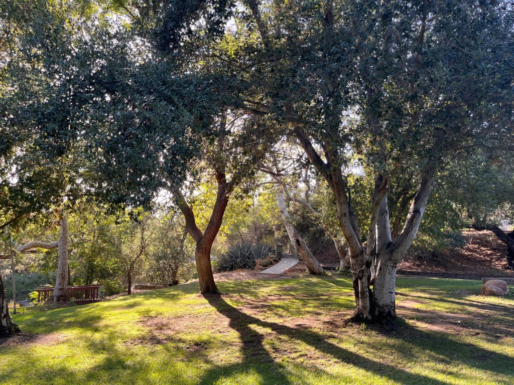 Hike of the week: Pick up a book and read under the oaks at Flynn Springs County Park – San Diego Union-Tribune