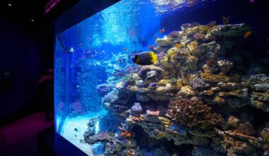 UCSD’s Birch Aquarium drew record 603,670 guests over the past year – San Diego Union-Tribune