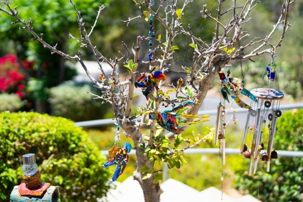 Richetts of Del Dios in San Diego County is a lesbian working artist and has a current exhibit at the Rancho San Diego Library on view through July 30. Several art pieces of her works are spread out throughout her home. (Nelvin C. Cepeda / The San Diego Union-Tribune)