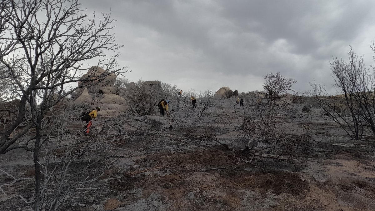 Thorn Fire in rural San Diego County contained – NBC 7 San Diego