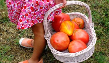 Trump’s Cuts Kill a LA Youth Garden