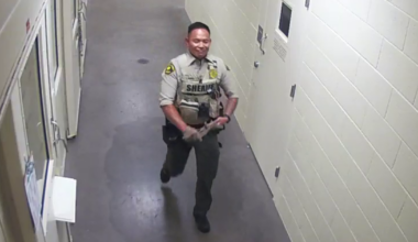 Former SD County Sheriff’s Deputy sentenced for excessive force and cover-up