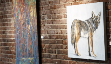 Young artists display work at Arts Council of Kern in Bakersfield