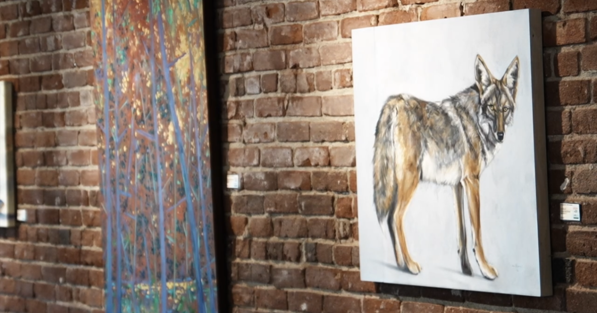 Young artists display work at Arts Council of Kern in Bakersfield