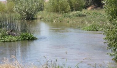 Bakersfield cuts Kern River water releases after supply runs out