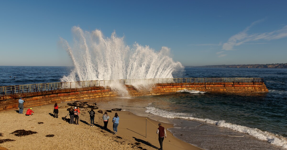 San Diego's coastal areas prepare for king tides