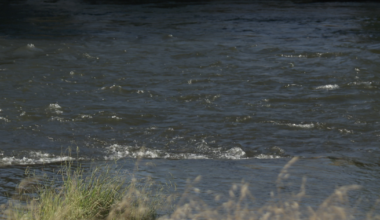 Kern River drowning kills 30-year-old; family issues river warning