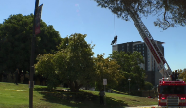 Standoff ensues after man climbs tree on San Diego City College campus