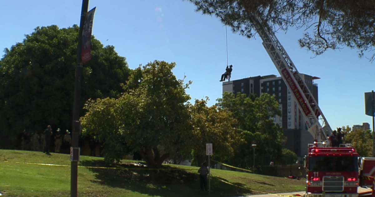 Standoff ensues after man climbs tree on San Diego City College campus