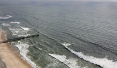 6 metro Detroit beaches closed due to high bacteria levels