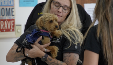 Kern County holds public safety meeting on stray and dangerous dogs