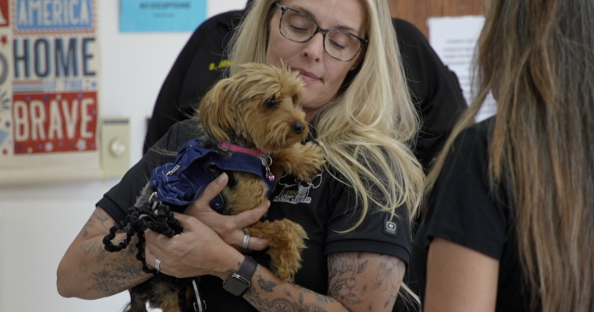 Kern County holds public safety meeting on stray and dangerous dogs