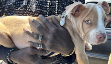 In Oakland, one nonprofit looks beyond the dog days