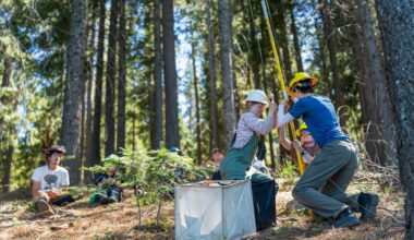 California can’t replant its forests fast enough to keep up with wildfires