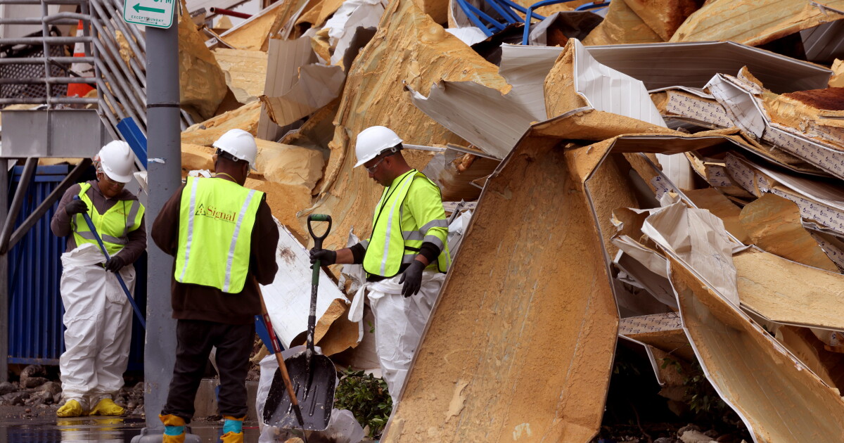 Flies, rats and other vermin are swarming Boyle Heights. Who’s handling pest control?