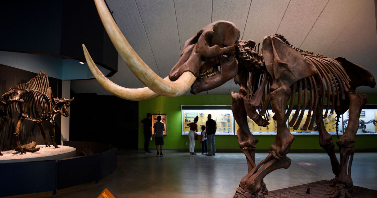 Your last chance to visit La Brea Tar Pits before it closes for two years