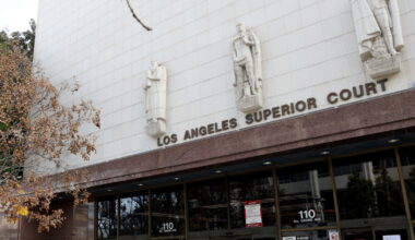 Court Watch LA report
