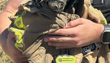 Watch: Firefighters rescue missing dog from San Francisco Bay