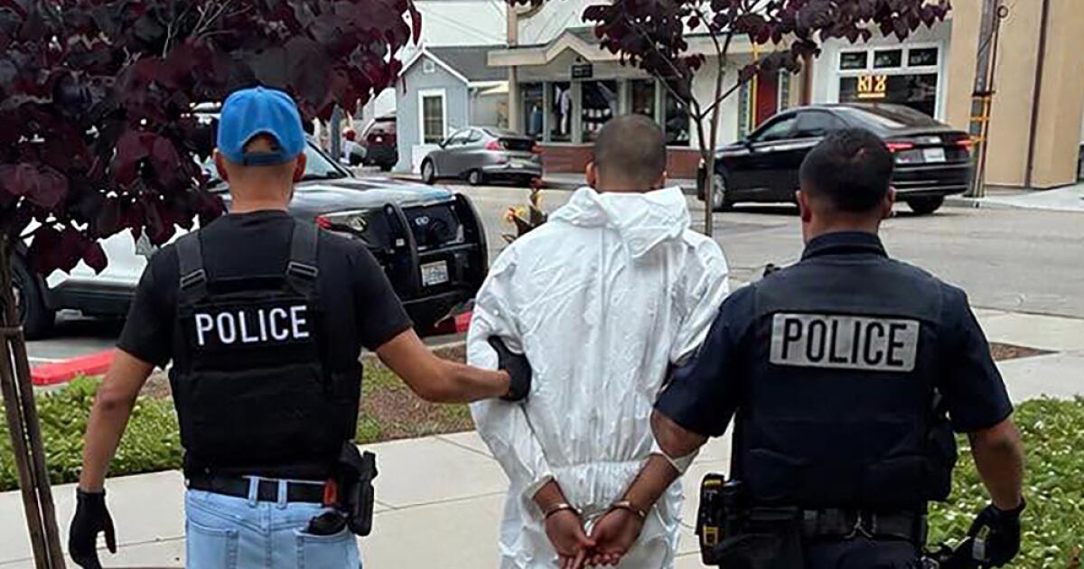 19-year-old lay in wait, stabbed California gallery owner, officials say