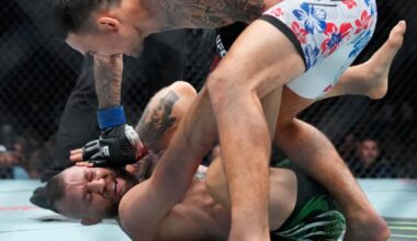 Conor McGregor quickly loses to Max Holloway at UFC 329