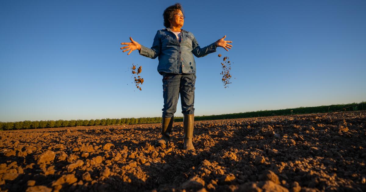 California's tightening groundwater rules put small farmers at risk