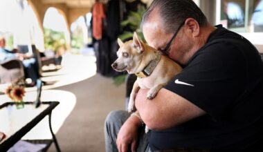 The joy and heartbreak of adopting a senior dog
