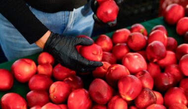 After a wet, hot winter, summer fruit trees in SoCal are suffering