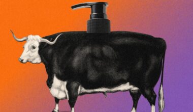 Does beef tallow skincare actually work? Dermatologists weigh in