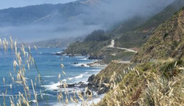 Cause of death revealed for Big Sur hiker found dead with odd wounds