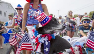 Is your pet afraid of fireworks? How to keep them safe for the Fourth