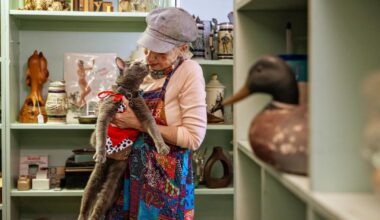 One-eyed cat and Long Beach celebrity Likho celebrates 15th birthday