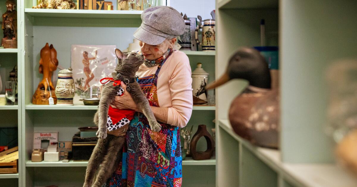 One-eyed cat and Long Beach celebrity Likho celebrates 15th birthday