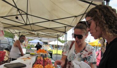 California farmer and food marketer spar over who can sell white nectarines