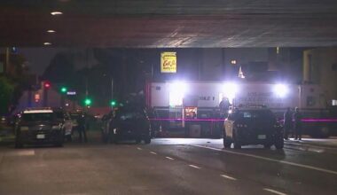 LAPD fatally shoots man swinging bat at cars near freeway onramp, officials say