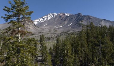 Father-son duo kidnapped U.S. Forest Service workers, held them hostage, feds say