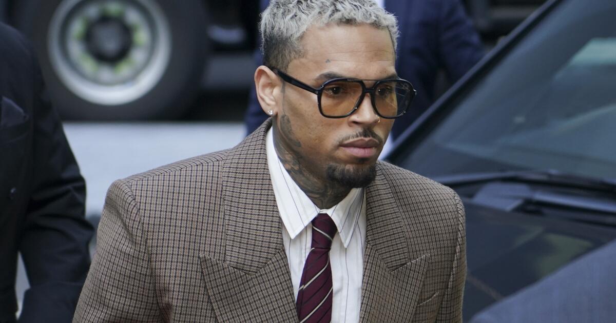 Chris Brown owes $13M to housekeeper attacked by Caucasian shepherd