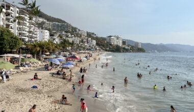 California couple recount witnessing fatal crocodile attack during Mexican vacation