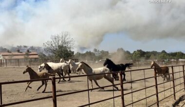 Volcano fire forces evacuations in Riverside County, others reduced to warnings