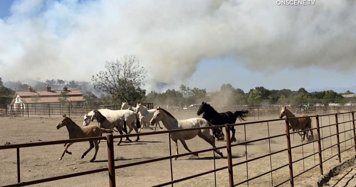 Volcano fire forces evacuations in Riverside County, others reduced to warnings
