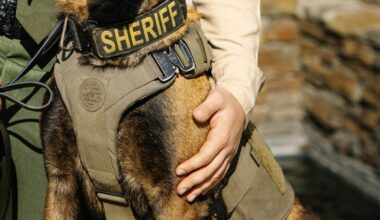 K-9 dies in suspected hit-and-run after fireworks scare in California