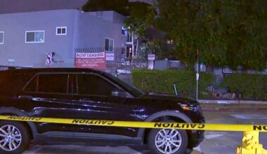 3 vfound shot to death inside Hollywood apartment, police say