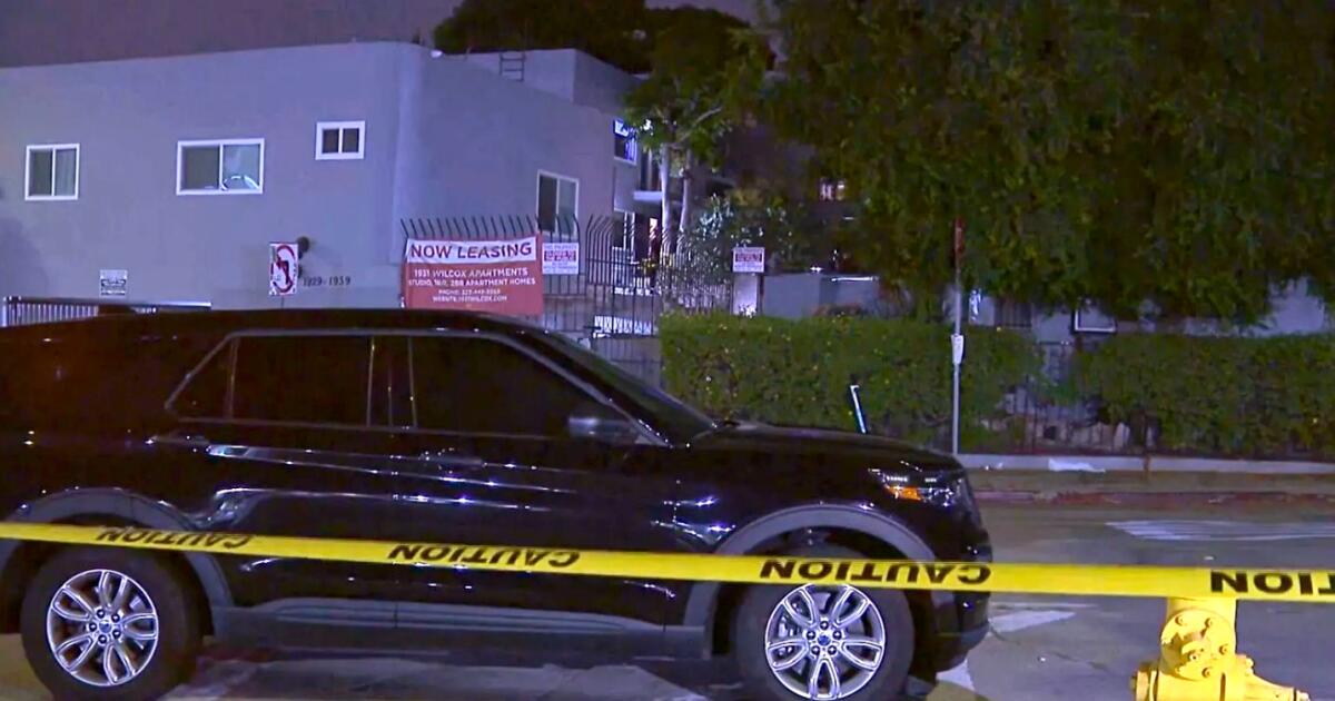 3 vfound shot to death inside Hollywood apartment, police say
