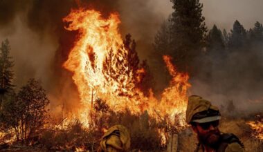 PG&E should pay $22 million for Mosquito fire, regulators say