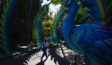 New victory for L.A. in battle with zoo nonprofit over $50M endowment